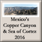 Copper Canyon 2016