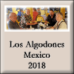 Los Algodones 2018